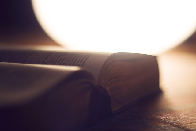 Open book with reading glasses